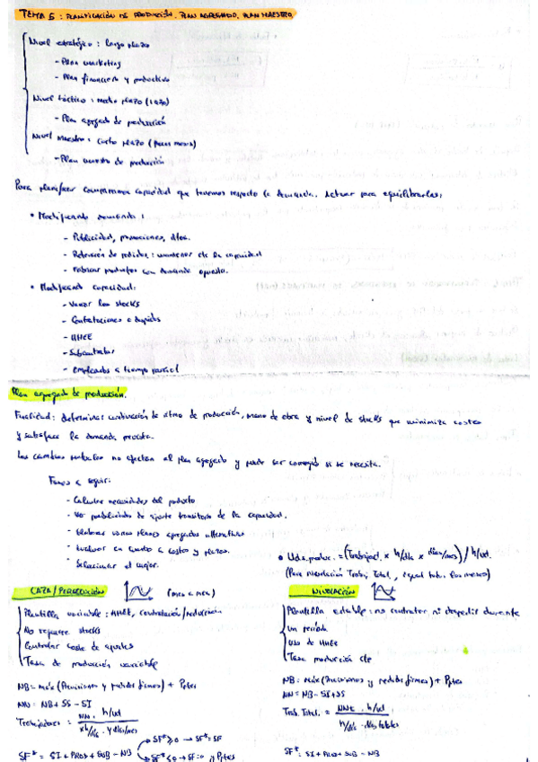 Miniatura del documento TEMA-5-RESUMIDO-FOE.pdf