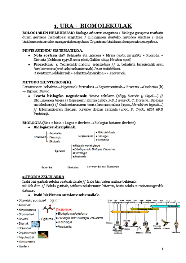 Miniatura del documento 1.gaia-ura-eta-biomolekulak.pdf