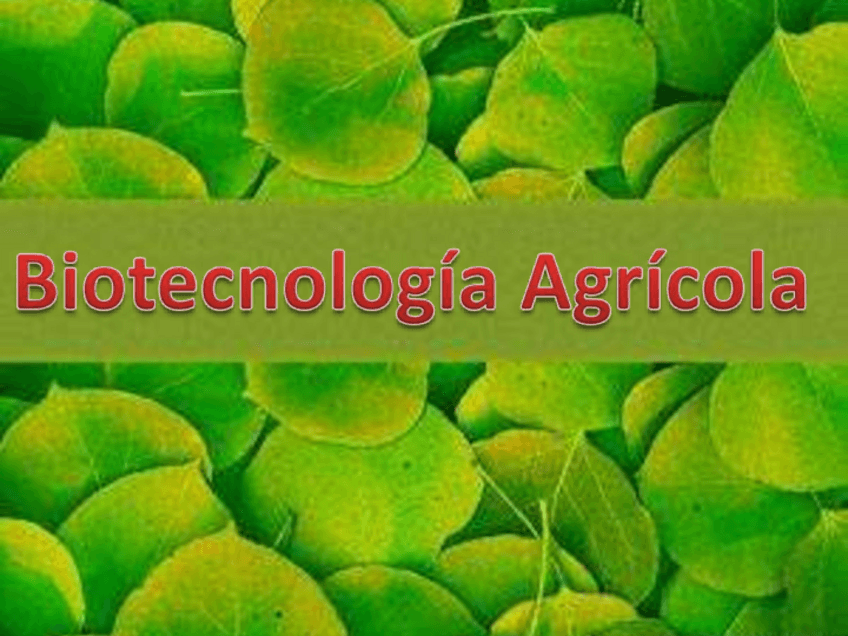 Miniatura del documento Biotecnologia-agricola.pdf