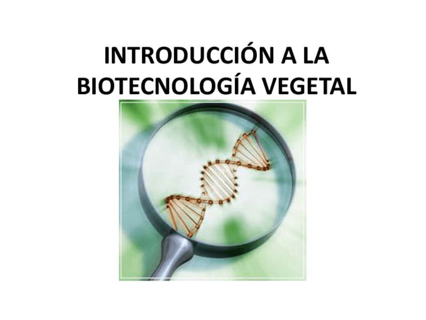 Miniatura del documento Biotecnologia-vegetal-basica.pdf