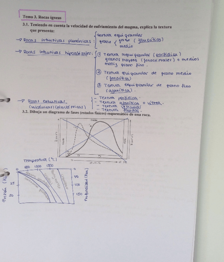 Miniatura del documento Q3 - Roques ígnies.pdf