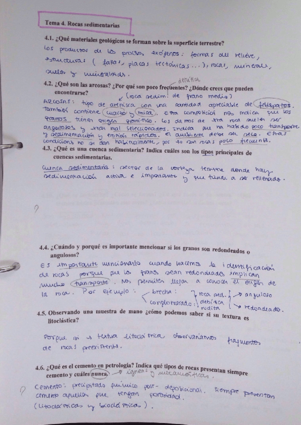 Miniatura del documento Q4 - Roques sedimentàries.pdf