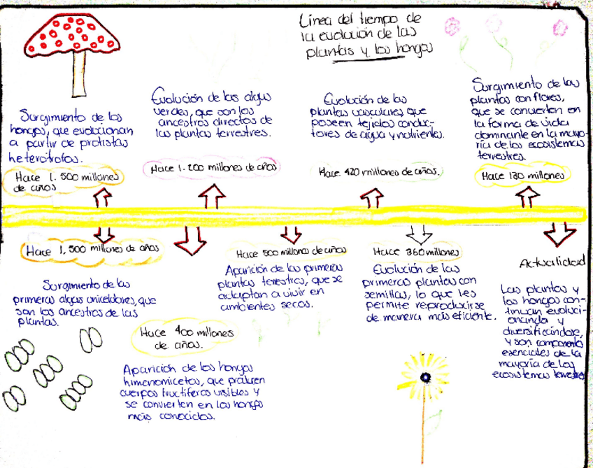 Miniatura del documento linea-del-tiempo-la-evolucion-de-las-plantas-y-los-hongos.pdf
