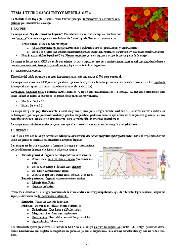 Miniatura del documento HISTOLOGIA-TEMA-1-TEJIDO-SANGUINEO-Y-MEDULA-OSEA.pdf