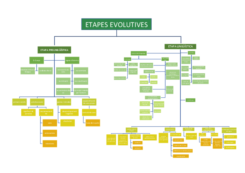Miniatura del documento etapes-evolutives-mapa-mental.pdf