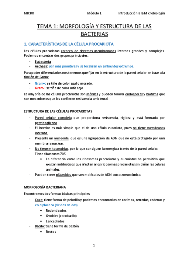Miniatura del documento Tema-1-Morfologia-y-Estructura-de-las-bacterias.pdf