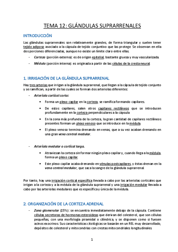 Miniatura del documento Tema-12-Glandulas-Suprarrenales.pdf