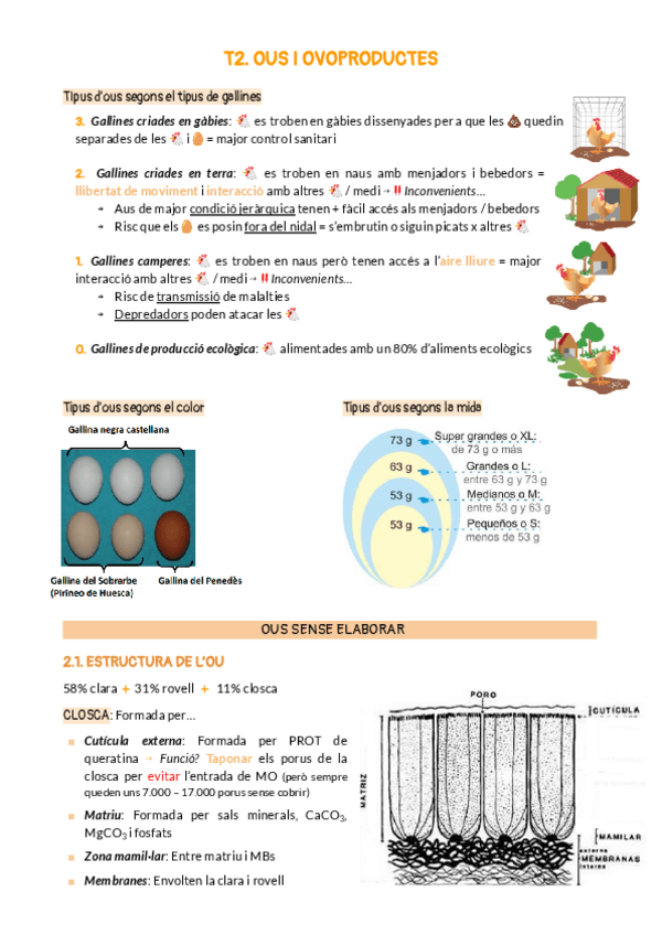 Miniatura del documento T2.-OUS-I-OVOPRODUCTES.pdf
