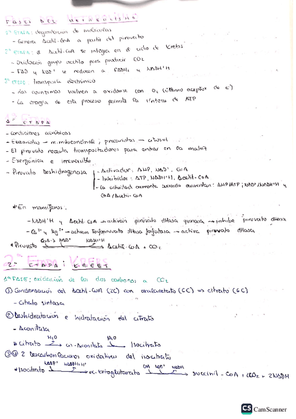 Miniatura del documento Tema-10bq.pdf
