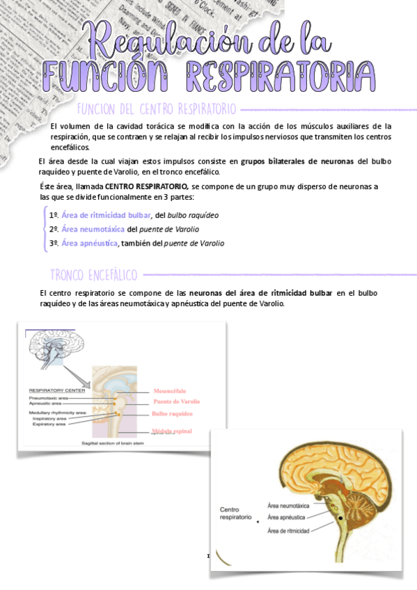 Miniatura del documento TEMA-4-modulo-III.pdf