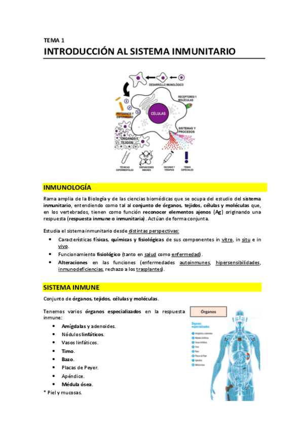 Miniatura del documento T1 - Introducción al sistema inmunitario.pdf