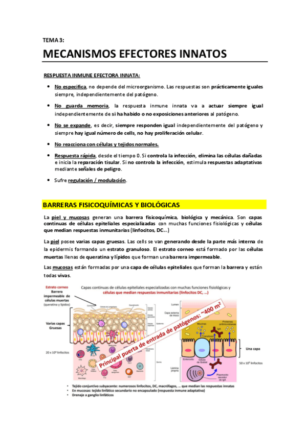 Miniatura del documento T3 - Mecanismos efectores innatos.pdf
