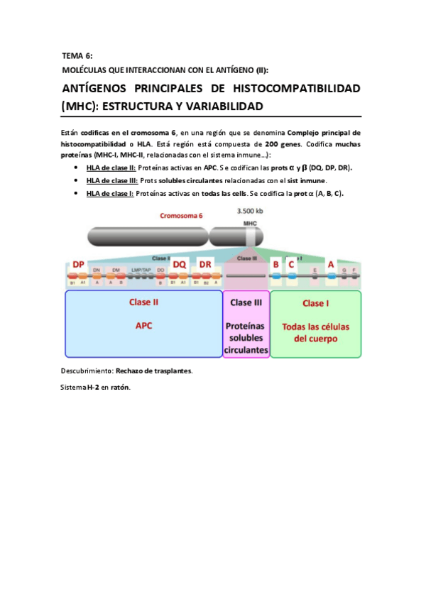 Miniatura del documento T6 - Antígenos MHC.pdf