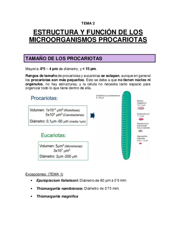 Miniatura del documento TEMA 2 - Estructura y función de los microorganismos procariotas.pdf