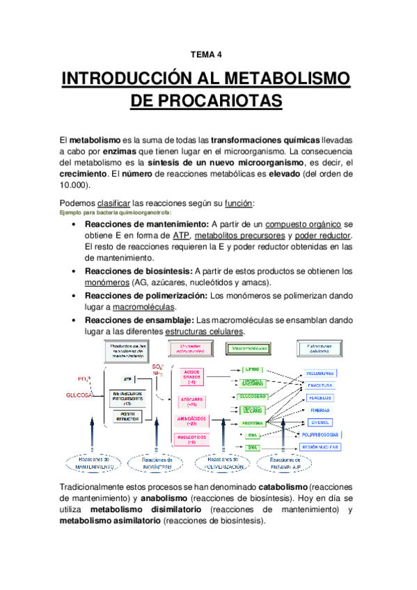 Miniatura del documento TEMA 4 - Introducción al metabolismo de procariotas.pdf