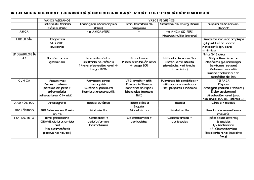 Miniatura del documento RESMEN-glomeruloesclerosis-secundarias.pdf