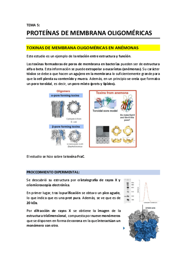 Miniatura del documento T5 - Proteinas de membrana oligomericas.pdf
