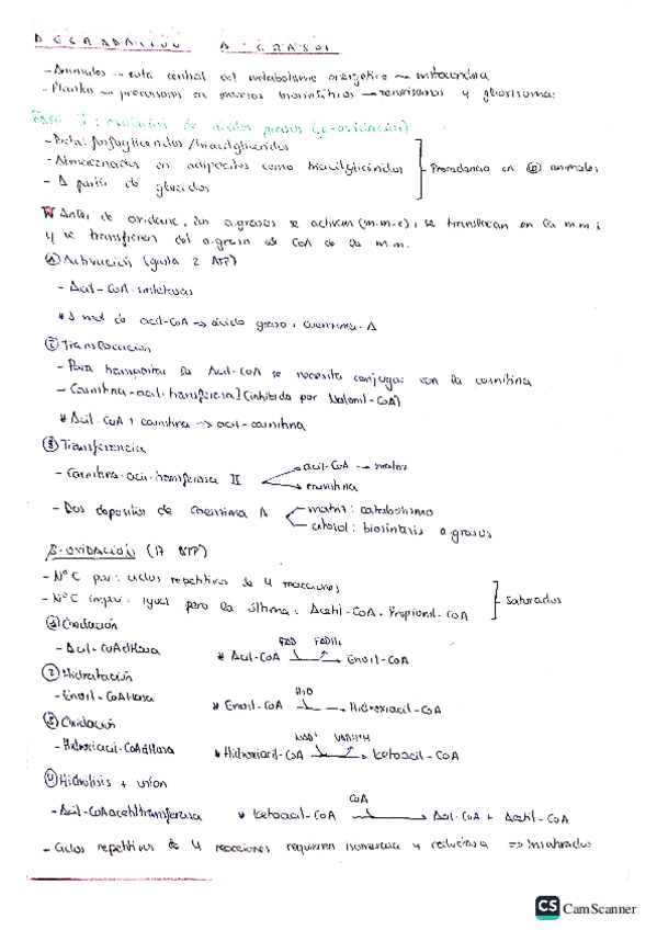 Miniatura del documento Tema11bq.pdf