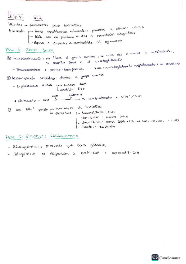 Miniatura del documento tema12bq.pdf