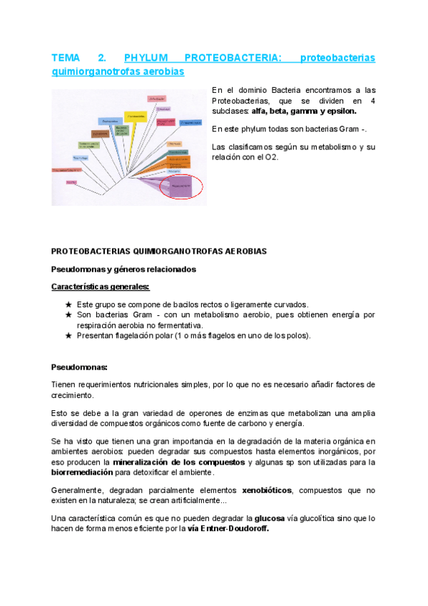 Miniatura del documento Tema-2.pdf