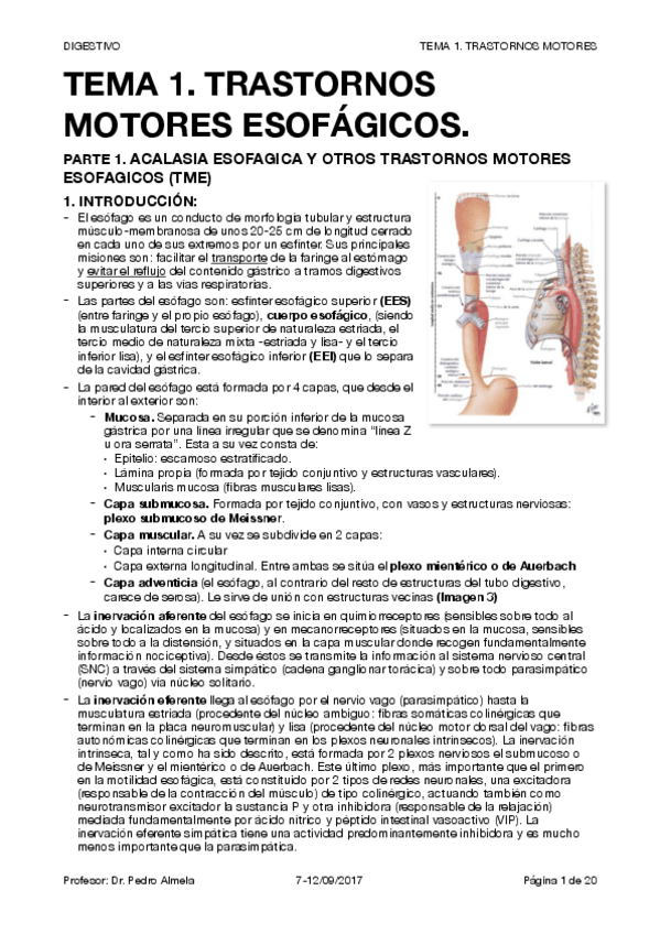 Miniatura del documento 1. TRASTORNOS MOTORES ESOFÁGICOS.pdf