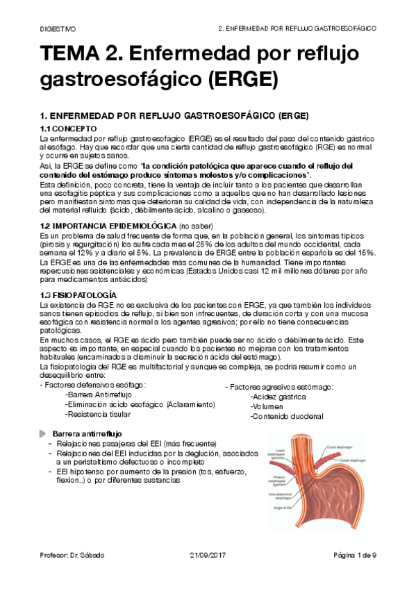 Miniatura del documento 2. ERGE.pdf