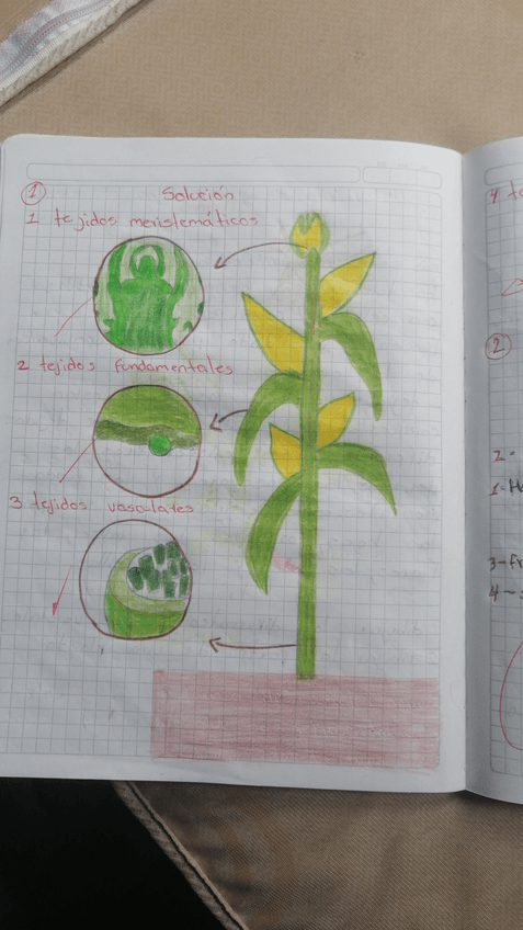 Miniatura del documento IMG-20230601-WA0012.jpeg