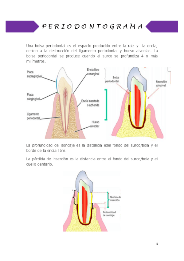Miniatura del documento Periodontograma.pdf