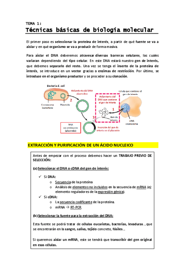 Miniatura del documento T1 - Tecnicas basicas de biologia molecular.pdf