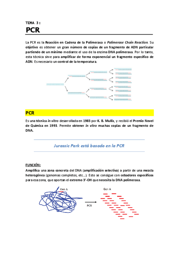 Miniatura del documento T3 - PCR.pdf