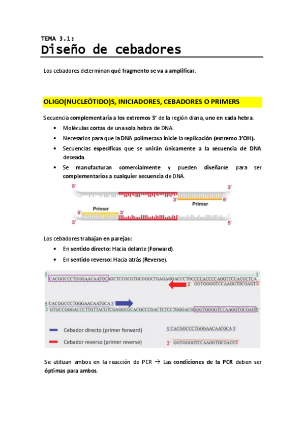 Miniatura del documento T3.1 - Diseño de cebadores.pdf