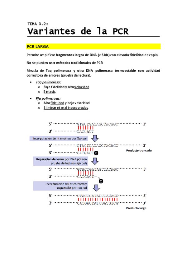 Miniatura del documento T3.2 - Variantes de la PCR.pdf
