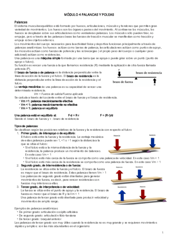 Miniatura del documento APUNTES-MODULO-4-PALANCAS-Y-POLEAS.pdf