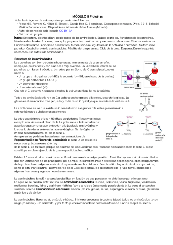 Miniatura del documento Apuntes-Modulo-5.pdf