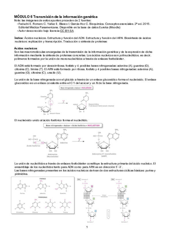 Miniatura del documento Apuntes-Modulo-6.pdf
