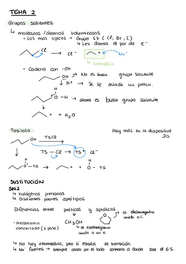 Miniatura del documento Tema-2-y-3-Quimica-organica.pdf