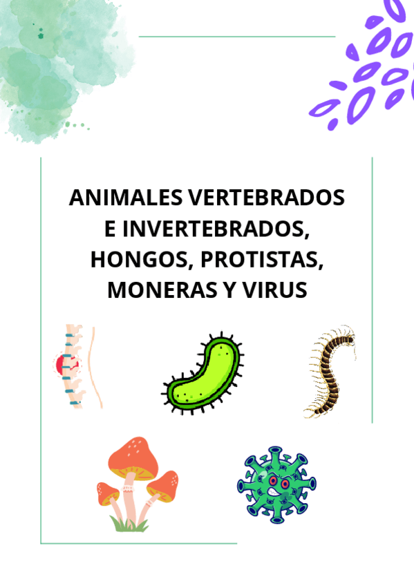 Miniatura del documento ANIMALES-VERTEBRADOS-E-INVERTEBRADOS-HONGOS-PROTISTAS-MONERAS-Y-VIRUS-tema-primaria.pdf