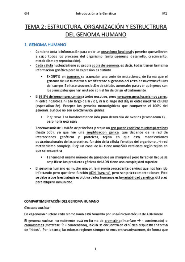 Miniatura del documento Tema-2-Estructura-organizacion-y-estructrura-del-Genoma-Humano.pdf