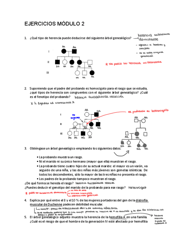 Miniatura del documento Ejercicios-genetica-m2.pdf