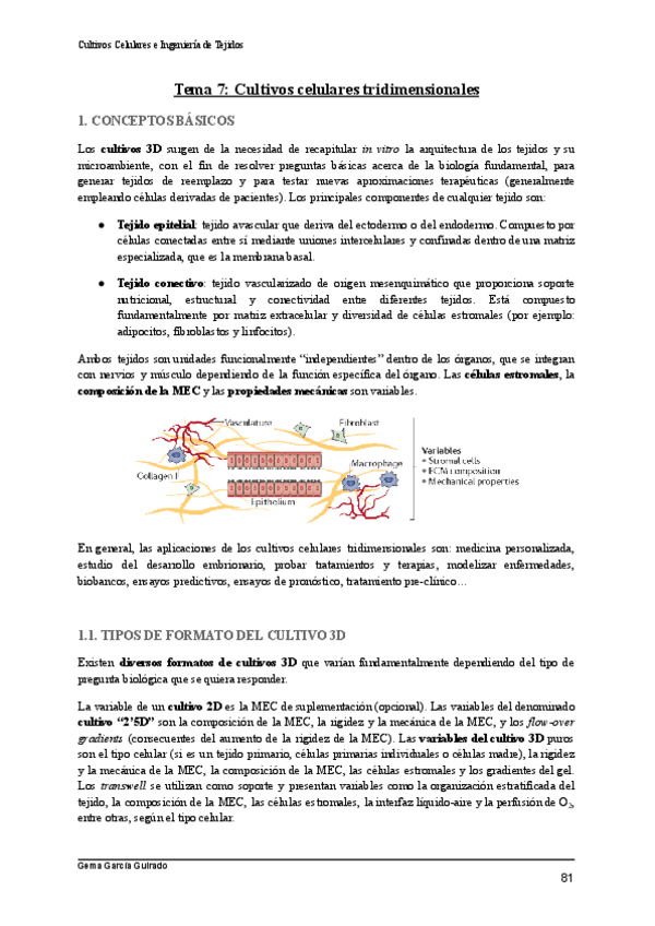 Miniatura del documento TEMA-7-CULTIVOS-CELULARES-TRIDIMENSIONALES-CULTIVOS-CELULARES-E-INGENIERIA-DE-TEJIDOS.pdf
