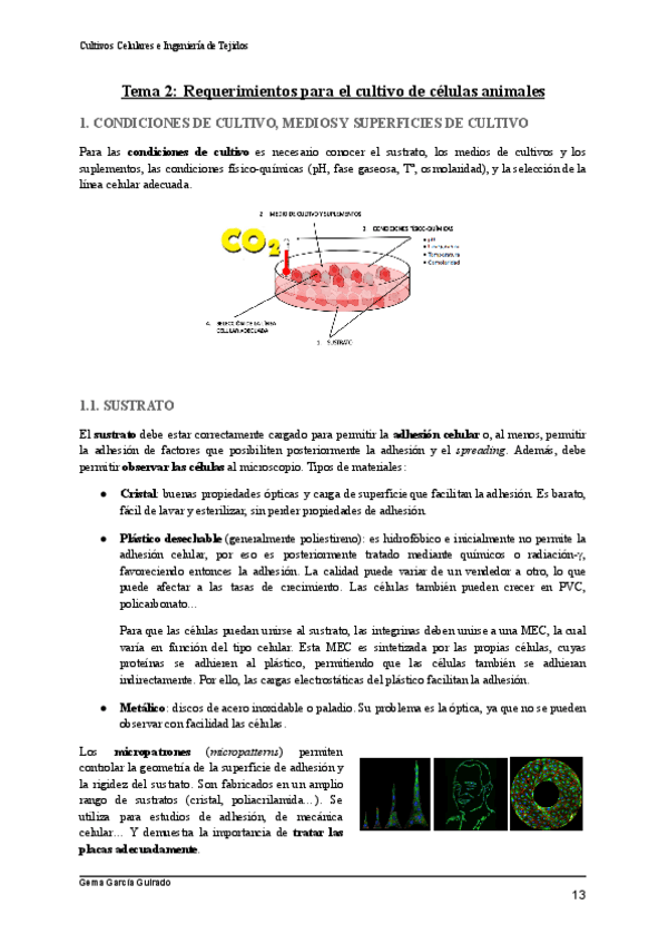 Miniatura del documento TEMA-2-REQUERIMIENTOS-CULTIVOS-CELULARES-E-INGENIERIA-DE-TEJIDOS.pdf