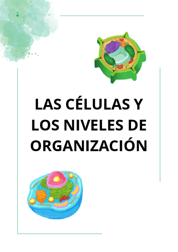 Miniatura del documento LAS-CELULAS-Y-LOS-NIVELES-DE-ORGANIZACION-repaso.pdf