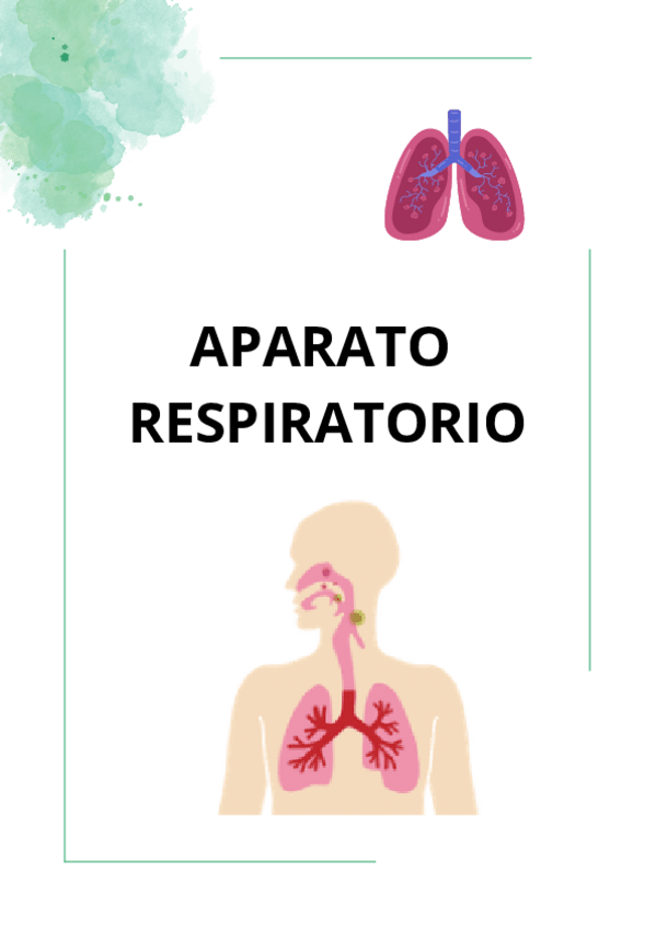 Miniatura del documento APARATO-RESPIRATORIO-repaso.pdf
