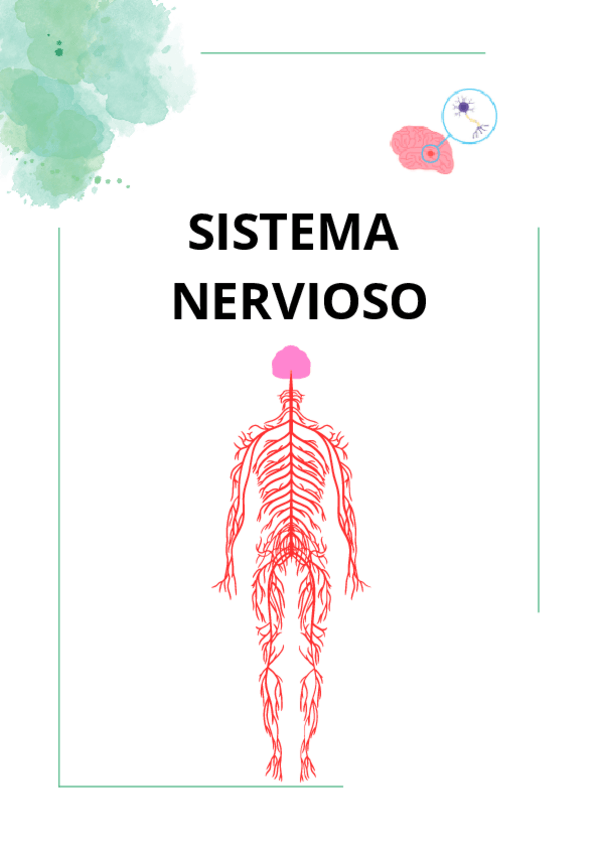 Miniatura del documento SISTEMA-NERVIOSO-repaso.pdf