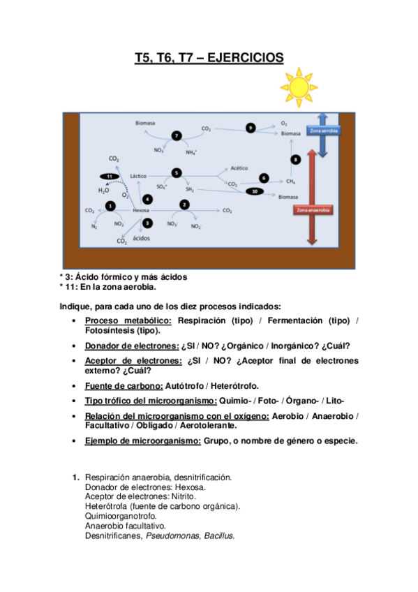 Miniatura del documento Microbiología: T5, T6, T7 - Ejercicios.pdf