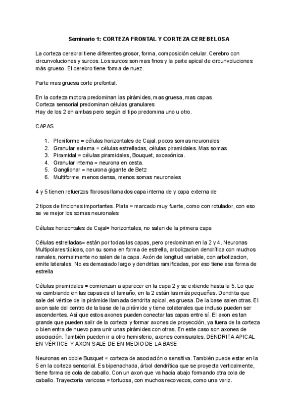 Miniatura del documento TODOLOQUEHAYQUESABERPARAELEXAMEN.pdf