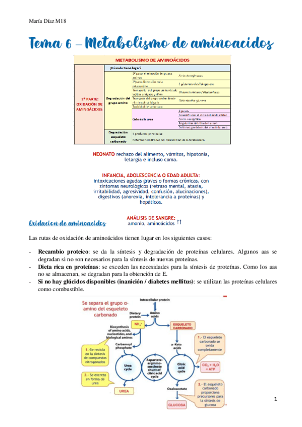 Miniatura del documento t6.pdf
