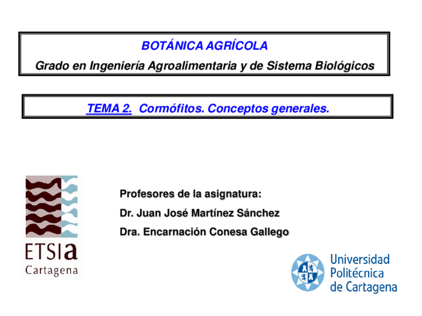 Miniatura del documento Tema-2-2023-Cormofitos.pdf