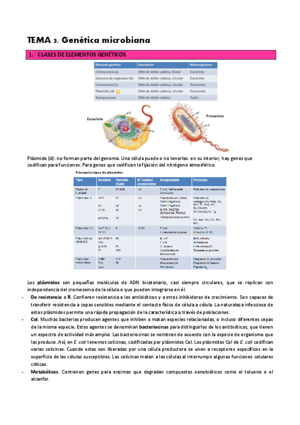 Miniatura del documento T.-3-Genetica-microbiana.pdf