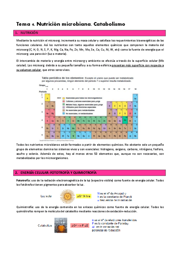 Miniatura del documento T.-4-Nutricion-Catabolismo.pdf